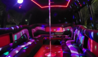 Night Fever Party Bus
