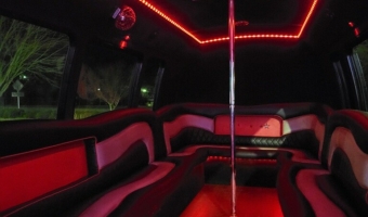 Night Fever Party Bus