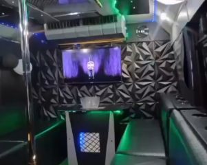 Black Ice Party Bus
